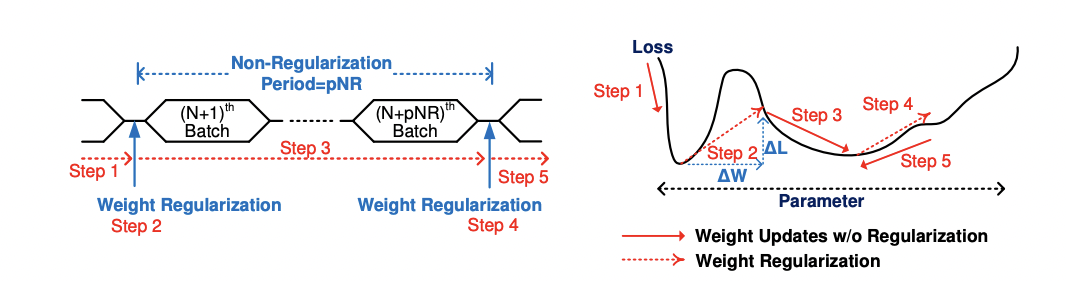 Training diagram showing period of non-regularization with intermittent quantization constraints.